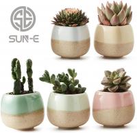 5 in Set 2.2 Inch Container Planter Ceramic Flowin